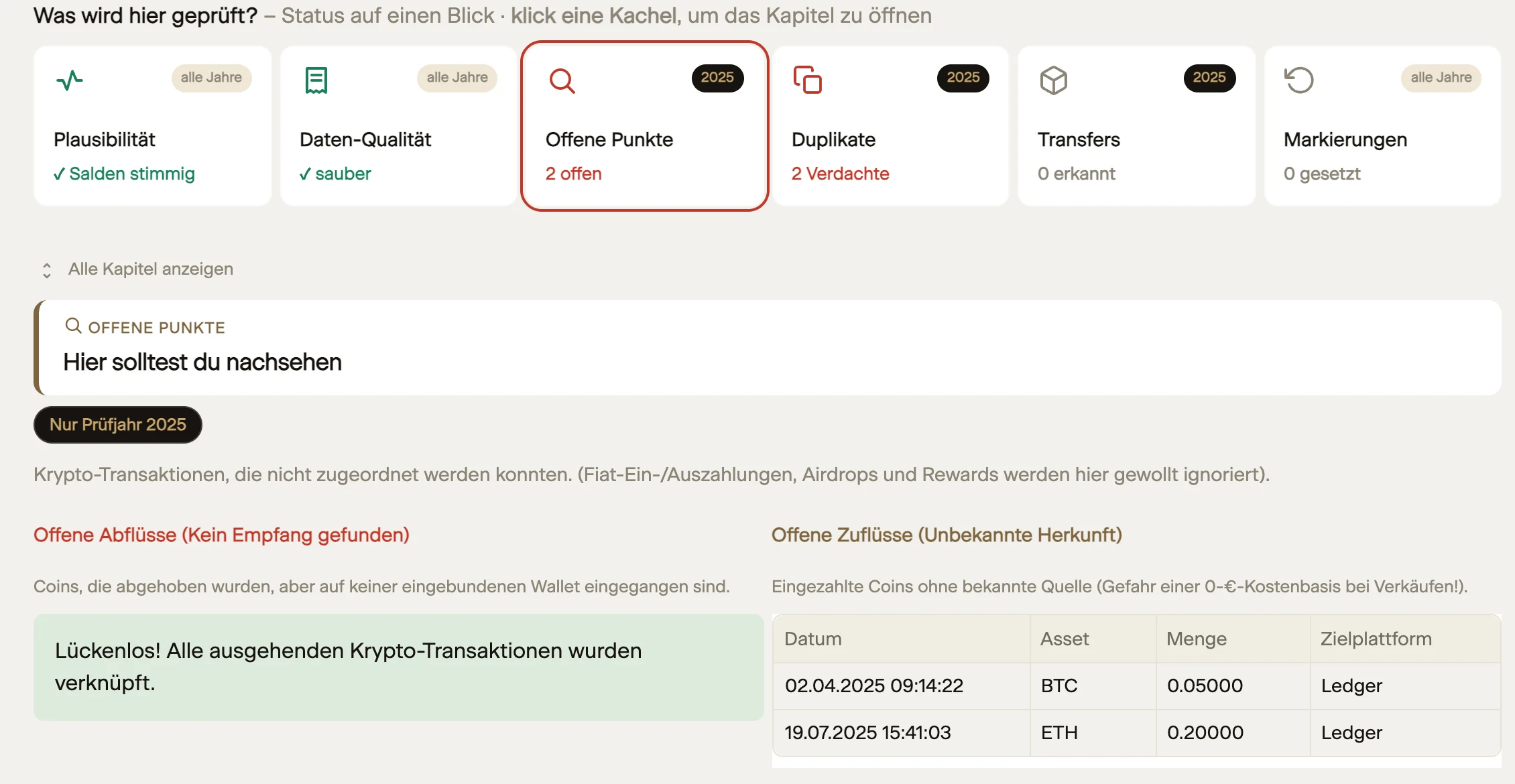 Audit Control — Diagnose-Kacheln mit Befunden (2 offene Punkte, 2 Duplikat-Verdachte) und geöffnetem Kapitel „Hier solltest du nachsehen“